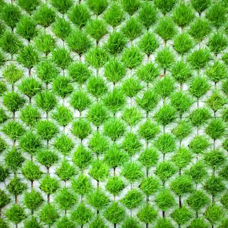 Grass Pavers 03