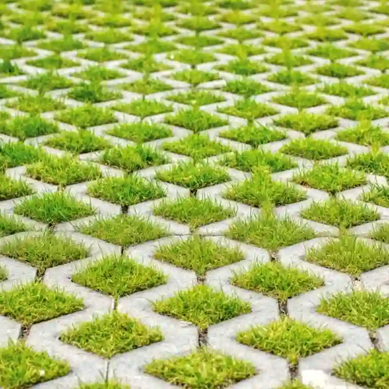 Grass Pavers 06