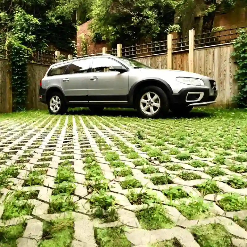 Grass Pavers 07