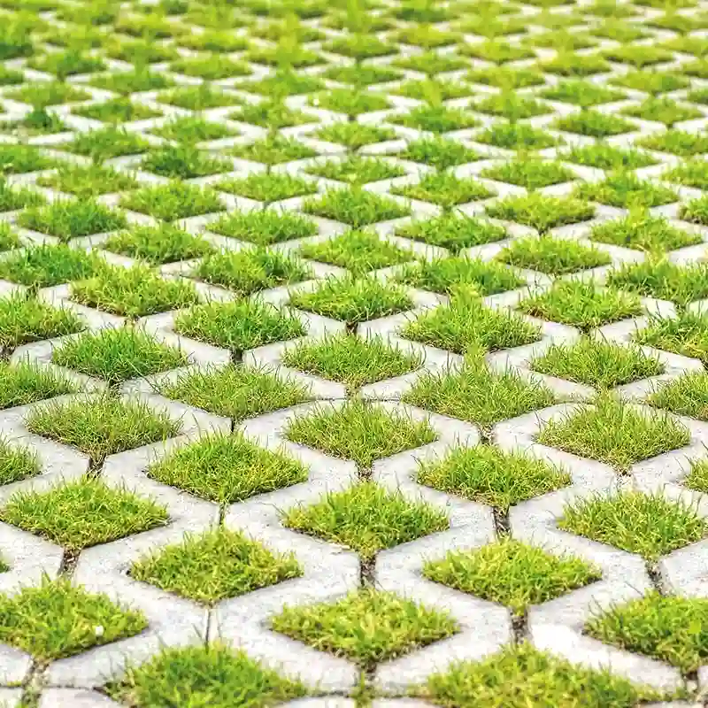 Grass Pavers 09