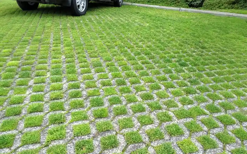 Grass Pavers After 02